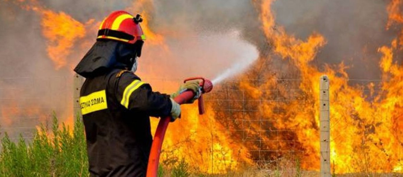 Οριοθετημένη είναι πλέον η πυρκαγιά στο Περιστέρι Ηλείας